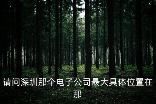 請問深圳那個電子公司最大具體位置在那