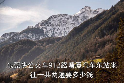 東莞快公交車912路塘廈汽車東站來(lái)往一共兩趟要多少錢