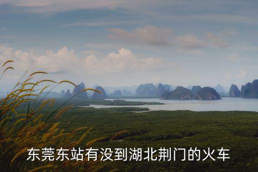 東莞東站有沒到湖北荊門的火車