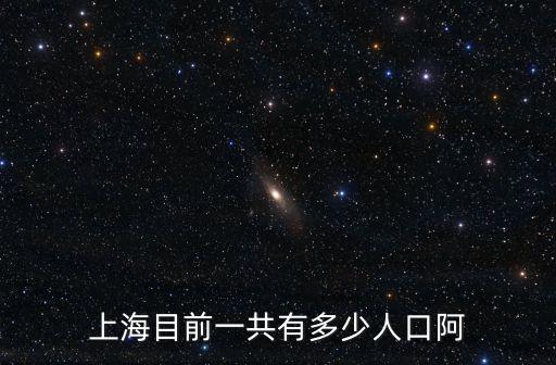 上海目前一共有多少人口阿