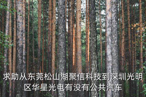 求助從東莞松山湖聚信科技到深圳光明區華星光電有沒有公共汽車