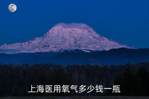 上海醫(yī)用氧氣多少錢一瓶