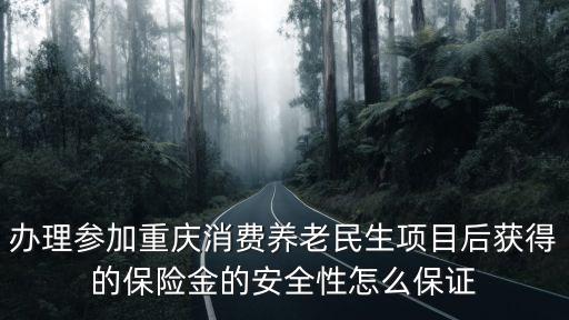 辦理參加重慶消費養老民生項目后獲得的保險金的安全性怎么保證