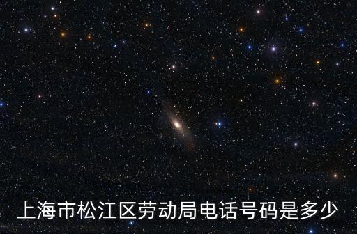上海市松江區勞動局電話號碼是多少