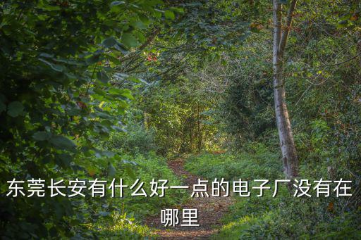 東莞長安有什么好一點(diǎn)的電子廠沒有在哪里