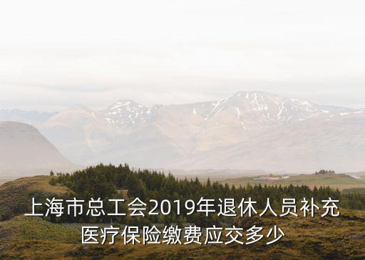 上海市總工會(huì)2019年退休人員補(bǔ)充醫(yī)療保險(xiǎn)繳費(fèi)應(yīng)交多少