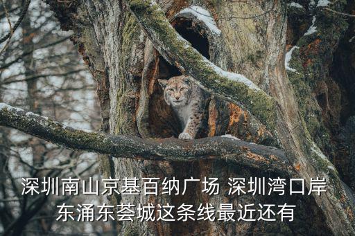 深圳南山京基百納廣場 深圳灣口岸 東涌東薈城這條線最近還有