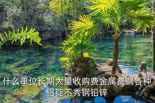 什么單位長期大量收購費金屬費銅各種鋁錠不秀鋼鉛鋅