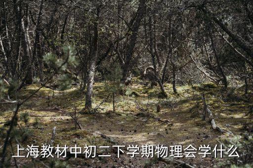 上海教材中初二下學期物理會學什么