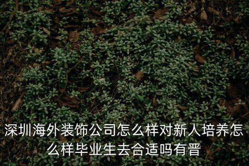 深圳海外裝飾公司怎么樣對(duì)新人培養(yǎng)怎么樣畢業(yè)生去合適嗎有晉