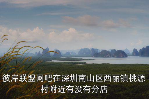 彼岸聯(lián)盟網(wǎng)吧在深圳南山區(qū)西麗鎮(zhèn)桃源村附近有沒有分店