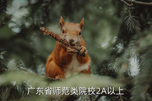 廣東省師范類院校2A以上