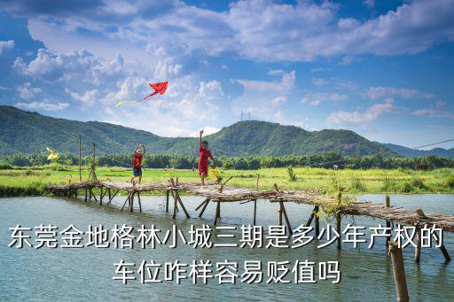 東莞金地格林小城三期是多少年產(chǎn)權(quán)的車位咋樣容易貶值嗎