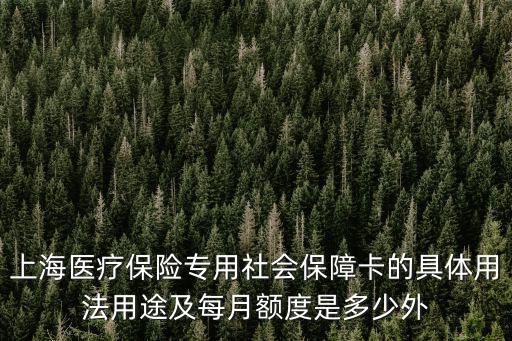 上海醫(yī)療保險(xiǎn)專用社會(huì)保障卡的具體用法用途及每月額度是多少外