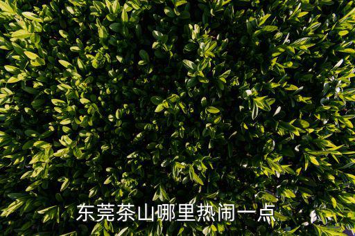 東莞茶山哪里熱鬧一點(diǎn)