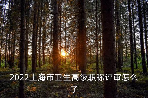 2022上海市衛(wèi)生高級(jí)職稱評(píng)審怎么了
