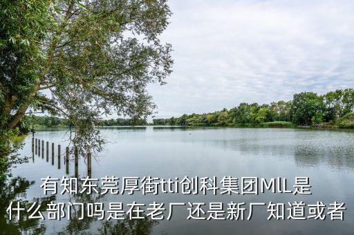 有知東莞厚街tti創科集團MlL是什么部門嗎是在老廠還是新廠知道或者