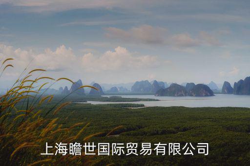 上海市外貿(mào)企業(yè)數(shù)據(jù)庫，上海做紡織外貿(mào)出口的公司主要集中于哪一塊區(qū)域求解謝謝