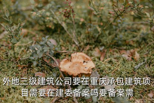 重慶市建委節能備案人員，外地三級建筑公司要在重慶承包建筑項目需要在建委備案嗎要備案需