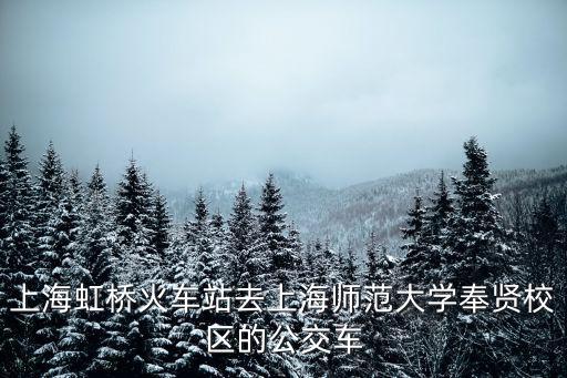 上海虹橋火車站去上海師范大學奉賢校區的公交車