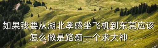 如果我要從湖北孝感坐飛機(jī)到東莞應(yīng)該怎么做是路癡一個(gè)求大神