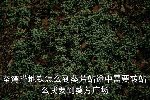荃灣搭地鐵怎么到葵芳站途中需要轉(zhuǎn)站么我要到葵芳廣場