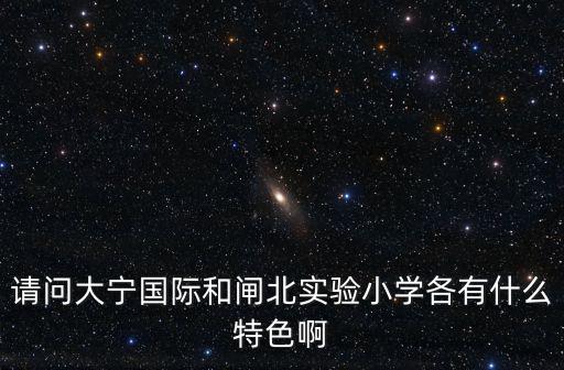 請問大寧國際和閘北實驗小學各有什么特色啊