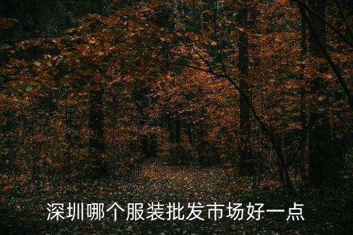 深圳哪個服裝批發市場好一點