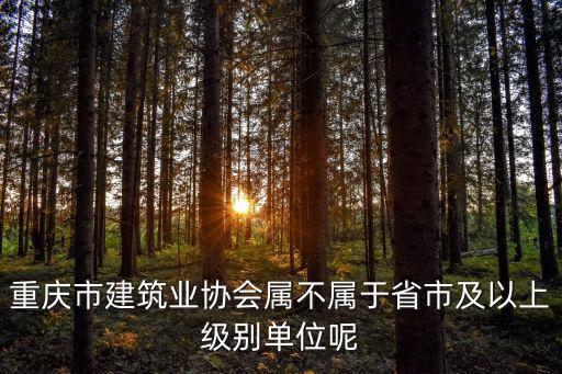 重慶市建筑業協會屬不屬于省市及以上級別單位呢