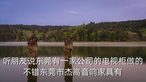 聽朋友說東莞有一家公司的電視柜做的不錯東莞市杰高音響家具有