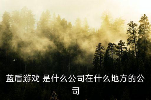 藍(lán)盾游戲 是什么公司在什么地方的公司