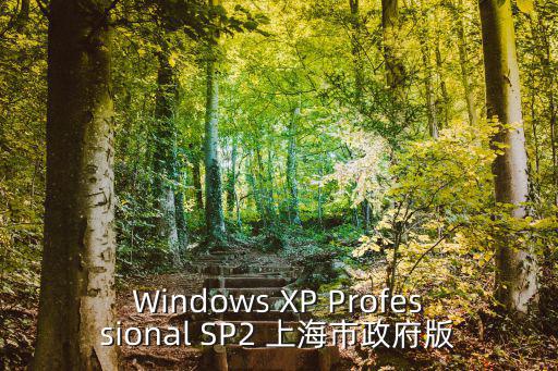Windows XP Professional SP2 上海市政府版