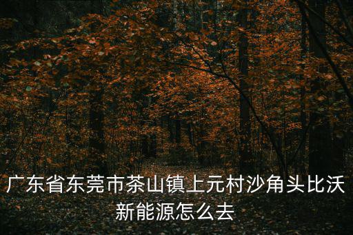 廣東省東莞市茶山鎮(zhèn)上元村沙角頭比沃新能源怎么去