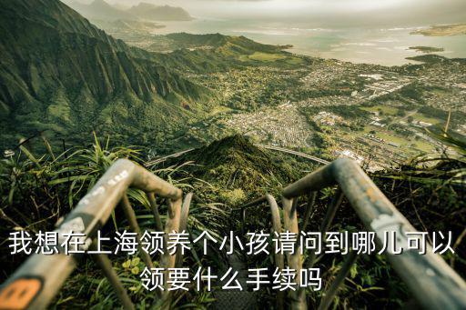 我想在上海領養(yǎng)個小孩請問到哪兒可以領要什么手續(xù)嗎