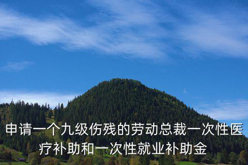 申請一個(gè)九級傷殘的勞動總裁一次性醫(yī)療補(bǔ)助和一次性就業(yè)補(bǔ)助金