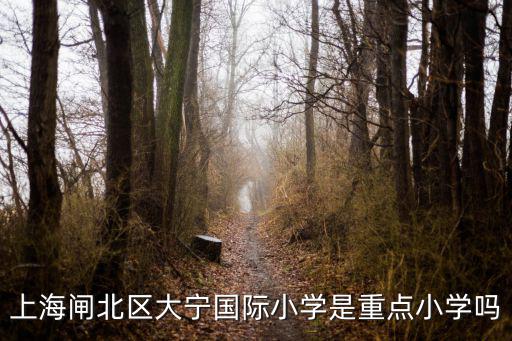 上海閘北區大寧國際小學是重點小學嗎