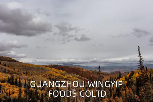 GUANGZHOU WINGYIP FOODS COLTD