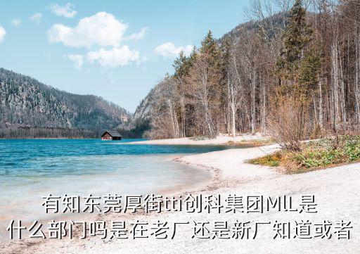 東莞ttiop部門生產(chǎn)什么，tti廠op部門怎么樣好嗎