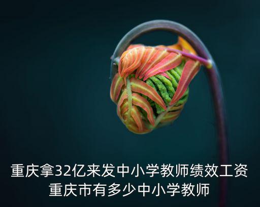 重慶拿32億來發中小學教師績效工資重慶市有多少中小學教師