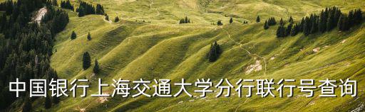 中國銀行上海交通大學分行聯行號查詢