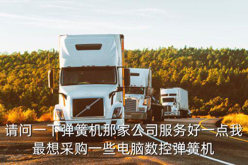 請問一下彈簧機那家公司服務好一點我最想采購一些電腦數控彈簧機