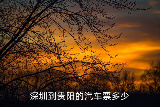 深圳到貴陽(yáng)的汽車票多少