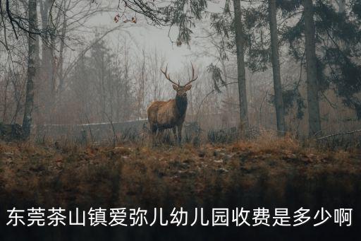 東莞茶山鎮愛彌兒幼兒園收費是多少啊