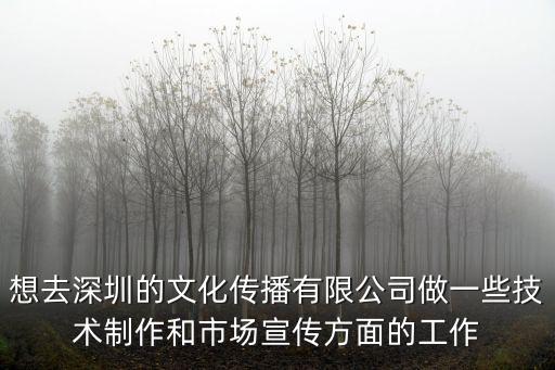 想去深圳的文化傳播有限公司做一些技術(shù)制作和市場宣傳方面的工作