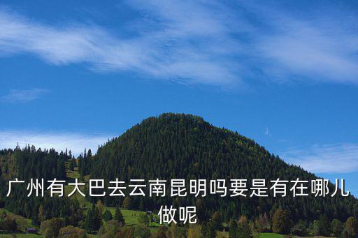 廣州有大巴去云南昆明嗎要是有在哪兒做呢