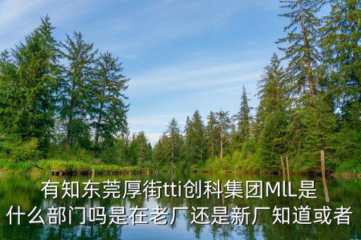 有知東莞厚街tti創科集團MlL是什么部門嗎是在老廠還是新廠知道或者