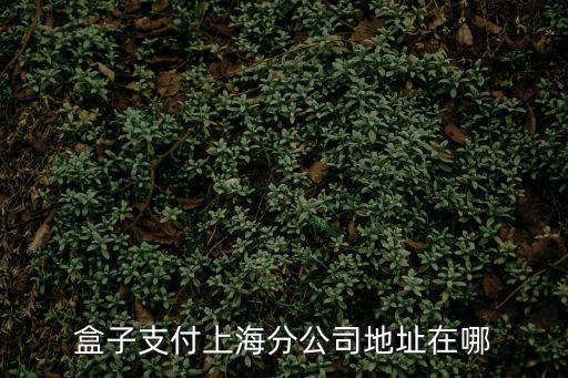 上海市金浜路50號，盒子支付上海分公司地址在哪