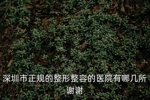 深圳醫(yī)療整形美容，深圳市正規(guī)的整形整容的醫(yī)院有哪幾所謝謝