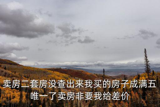 賣房二套房沒查出來我買的房子成滿五唯一了賣房非要我給差價