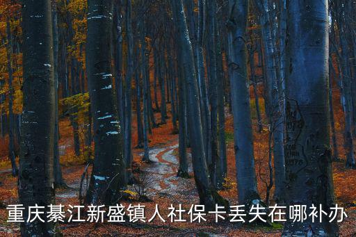 重慶綦江新盛鎮人社保卡丟失在哪補辦
